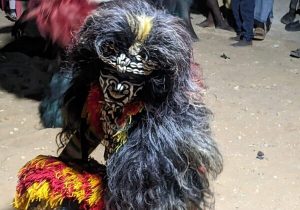 Senegal – La strada della Teranga – foto 2
