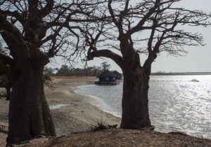 Senegal – La strada della Teranga – foto 3